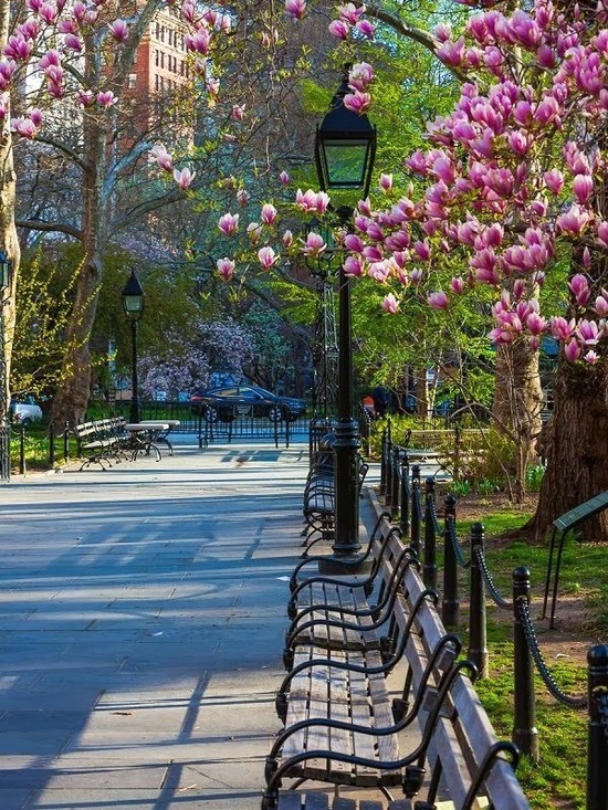 Spring Fling - Picture 3 of 4